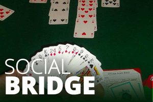 Social Bridge