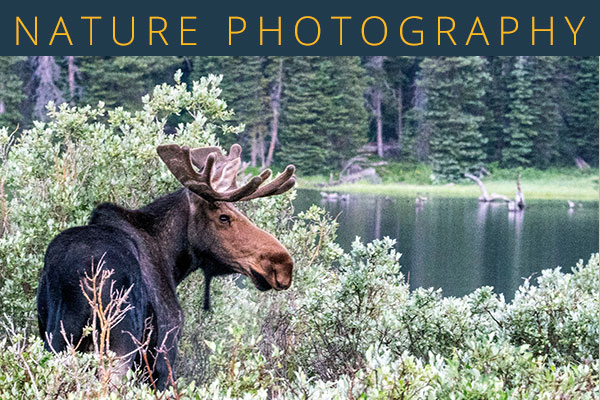 NATURE PHOTOGRAPHY